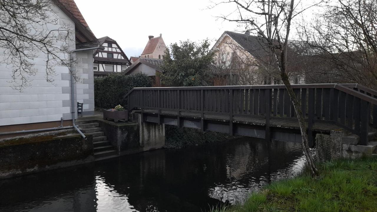 Badischer Neubau-Ruhe-Kunst-Natur Rheinau Luaran gambar