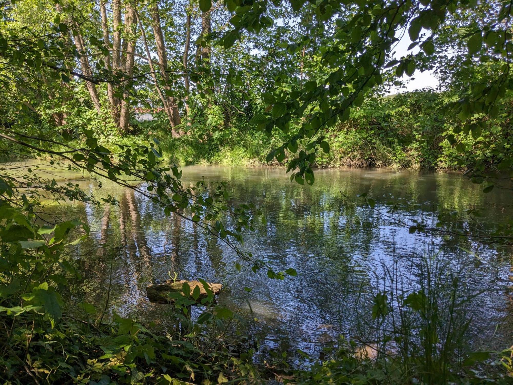 Badischer Neubau-Ruhe-Kunst-Natur Rheinau Luaran gambar